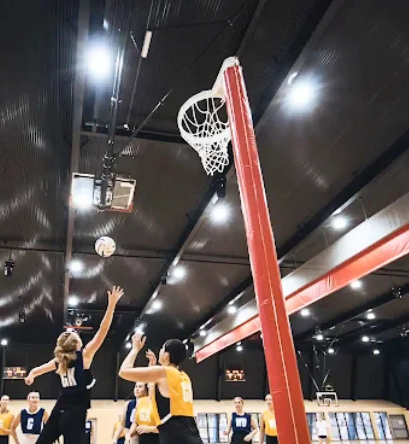 Aluline Netball Posts