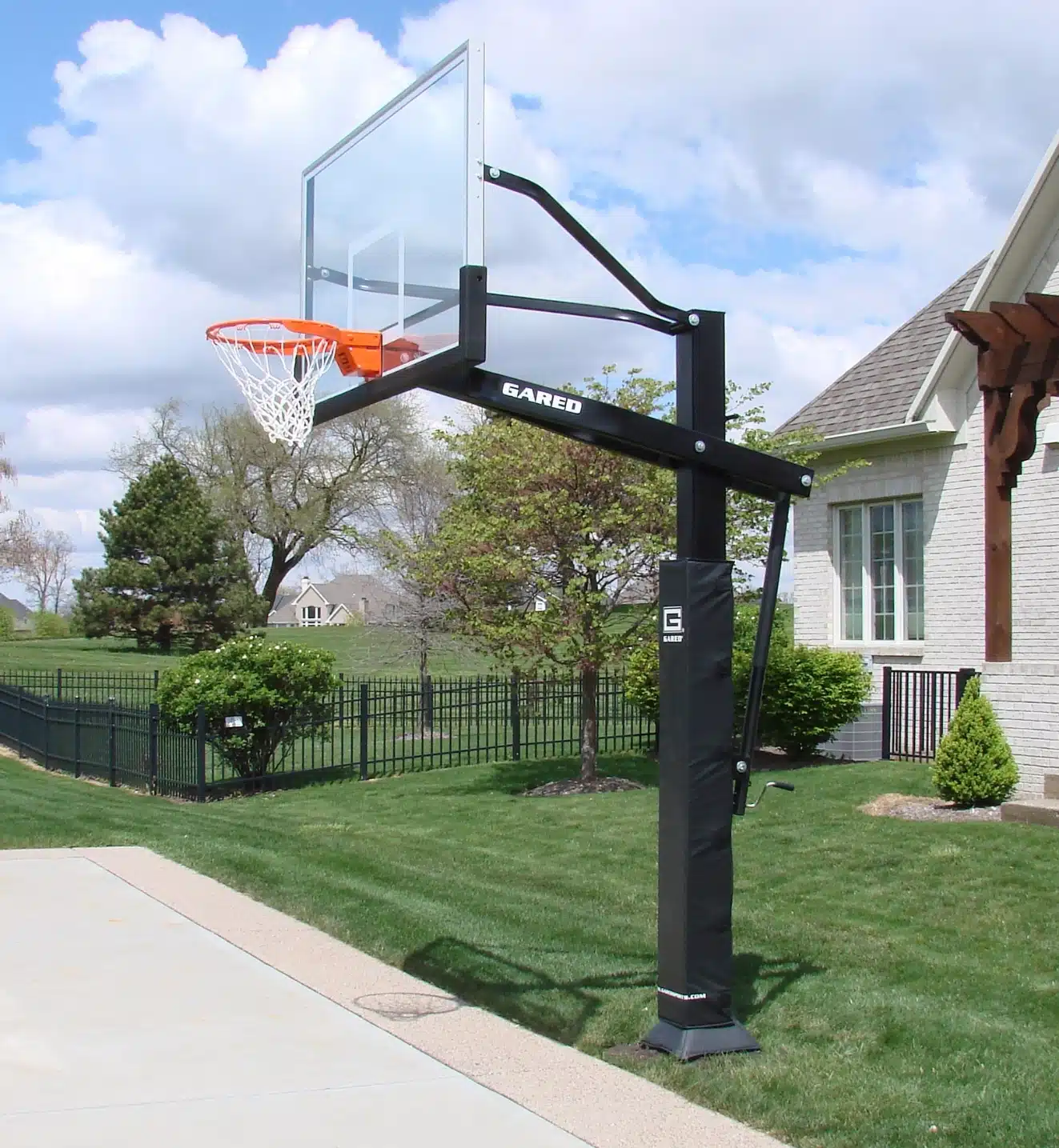 Pro Basketball