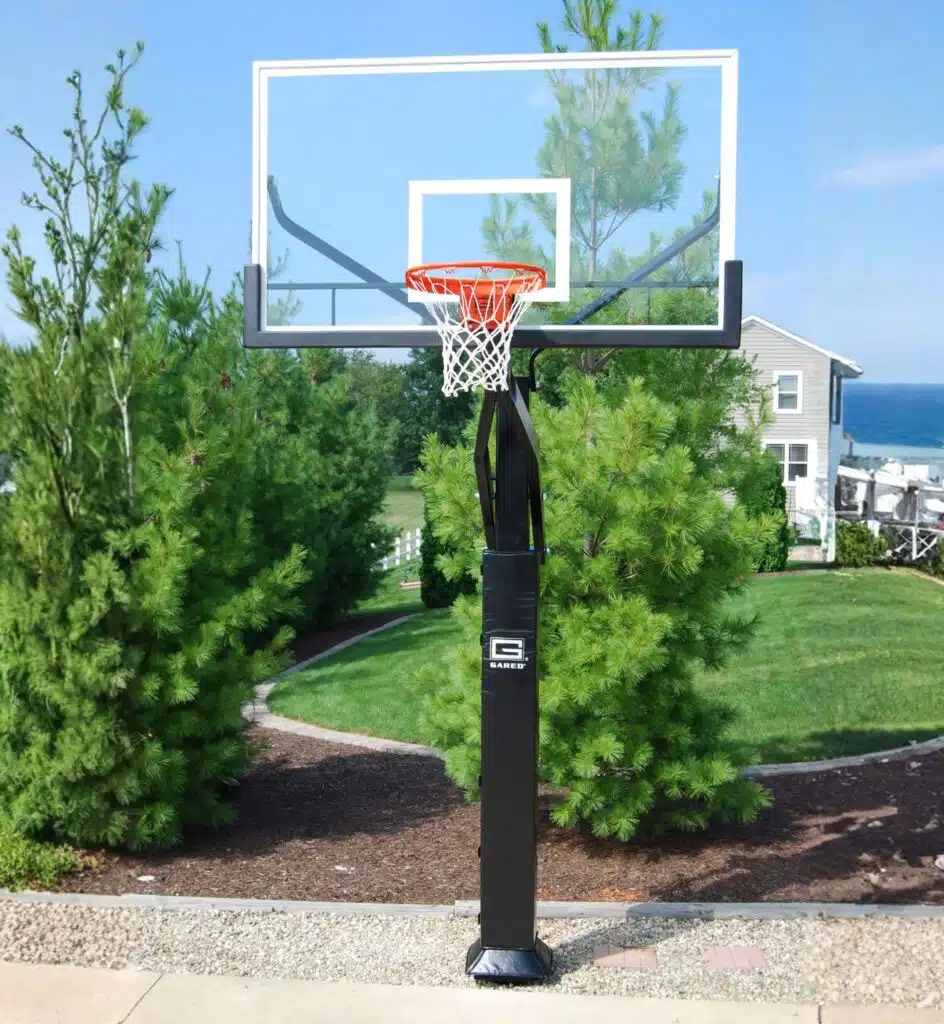Domestic Basketball