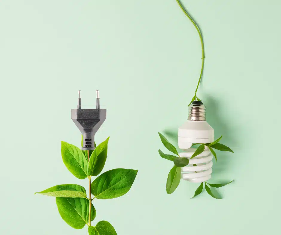 Sustainability- A Future-Proof Investment